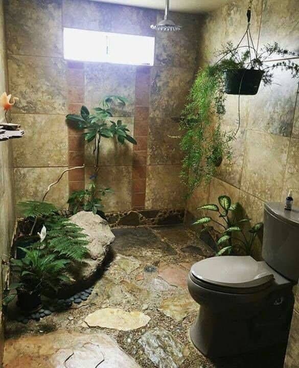 wc-jungle